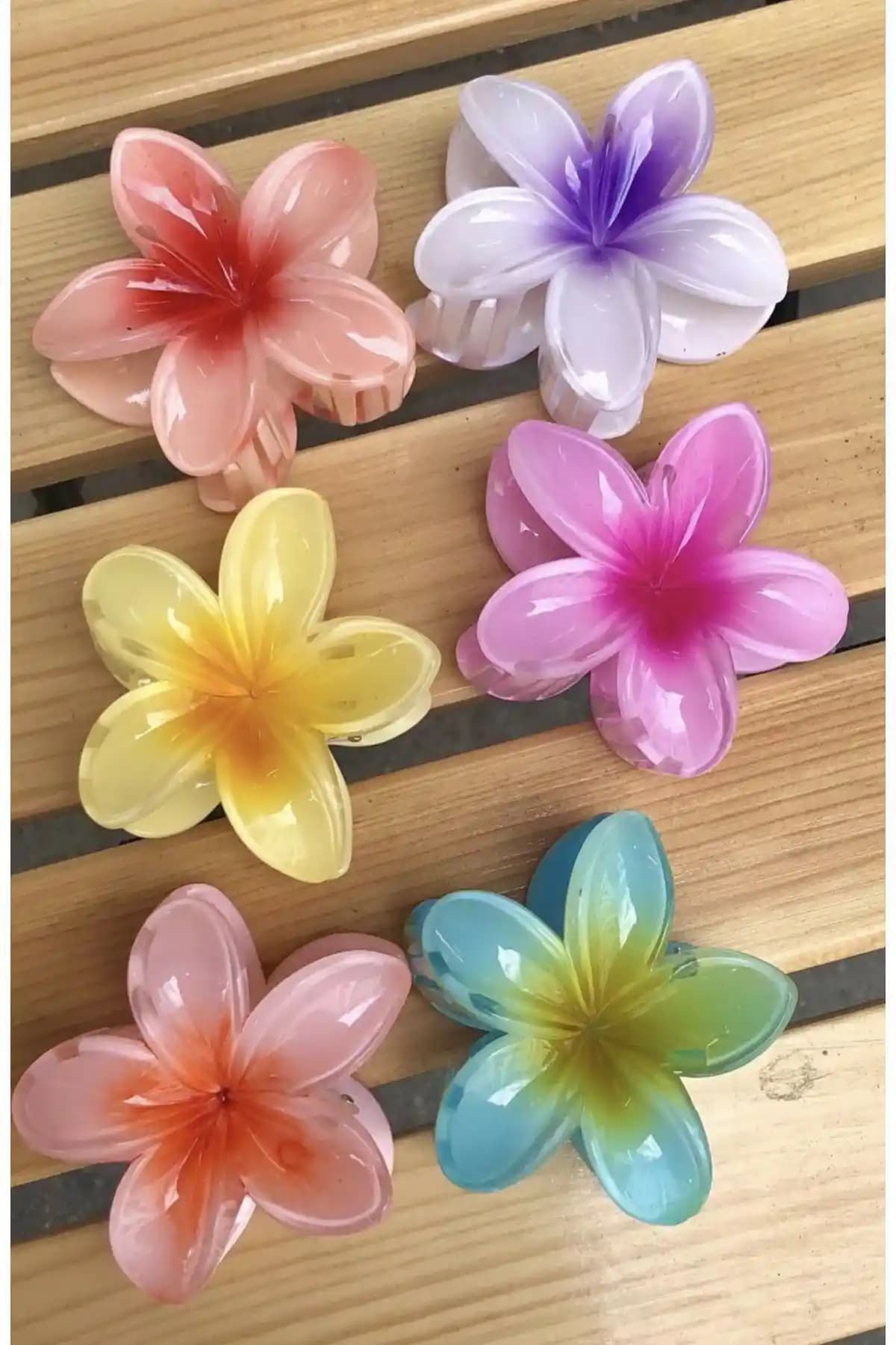 Monalisa Kadın Büyük Boy 6'lı Renkli Lotus Toka Seti: Stil ve İşlevselliğin Birleşimi