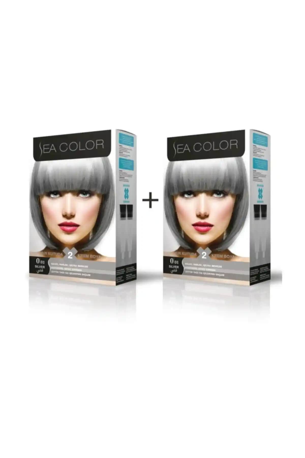 Sea Color 0.01 Füme Gri Boya 2'li Set: Kalıcılık ve Performans İncelemesi