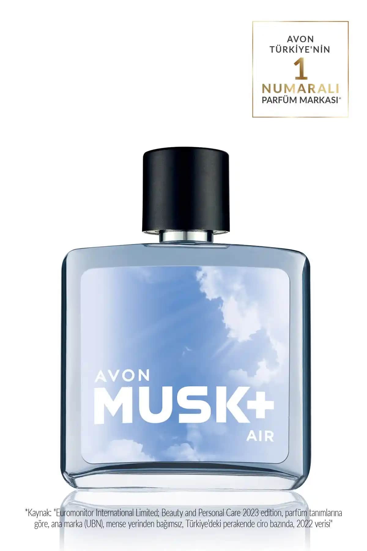 Avon Musk Air ve Marine Erkek Parfüm Seti İncelemesi: Hangi Ürün Tercih Edilmeli?