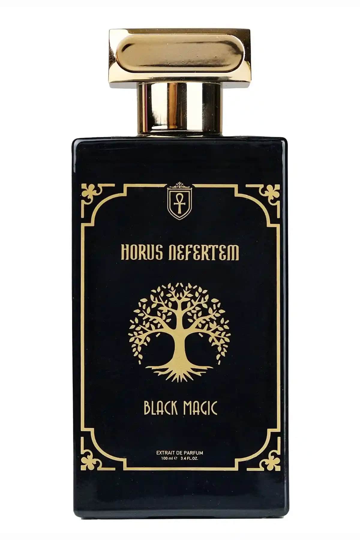Horus Nefertem Black Magic ve max beauty paris Black For Him Parfüm Karşılaştırması