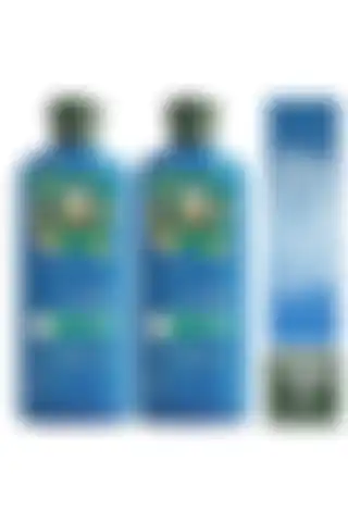 Herbal Essences Onarıcı Argan Yağı Şampuanı ile Doğal Bakım İmkanı