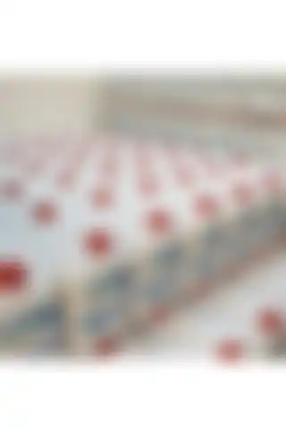 Pedaliza Baby 5 Lt Şampuan: Saç Bakımında Ekonomik ve Verimli Seçim