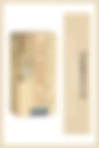 Prozinc Color 8.3 Kumral: Amonyaksız Bitkisel Kalıcı Saç Boyası İncelemesi